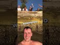 Diver drops phone in Sydney Harbour📱🤿  #shorts