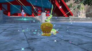 PEV : Pomdramour (Dipplin) Shiny