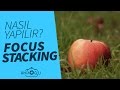 Focus Stacking Nedir? Nasıl Yapılır? Nasıl Çekilir? | AmcaOğlu