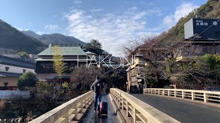 일본 하코네 여행 🇯🇵 Hakone, Japan | 미즈노토 료칸