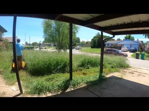 Elderly man had been reporting this one to the city, and then watched me the whole time