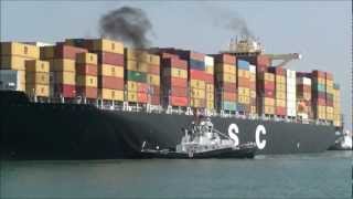 Msc Arica - אונית המכולות הגדולה ביותר שהגיעה לישראל