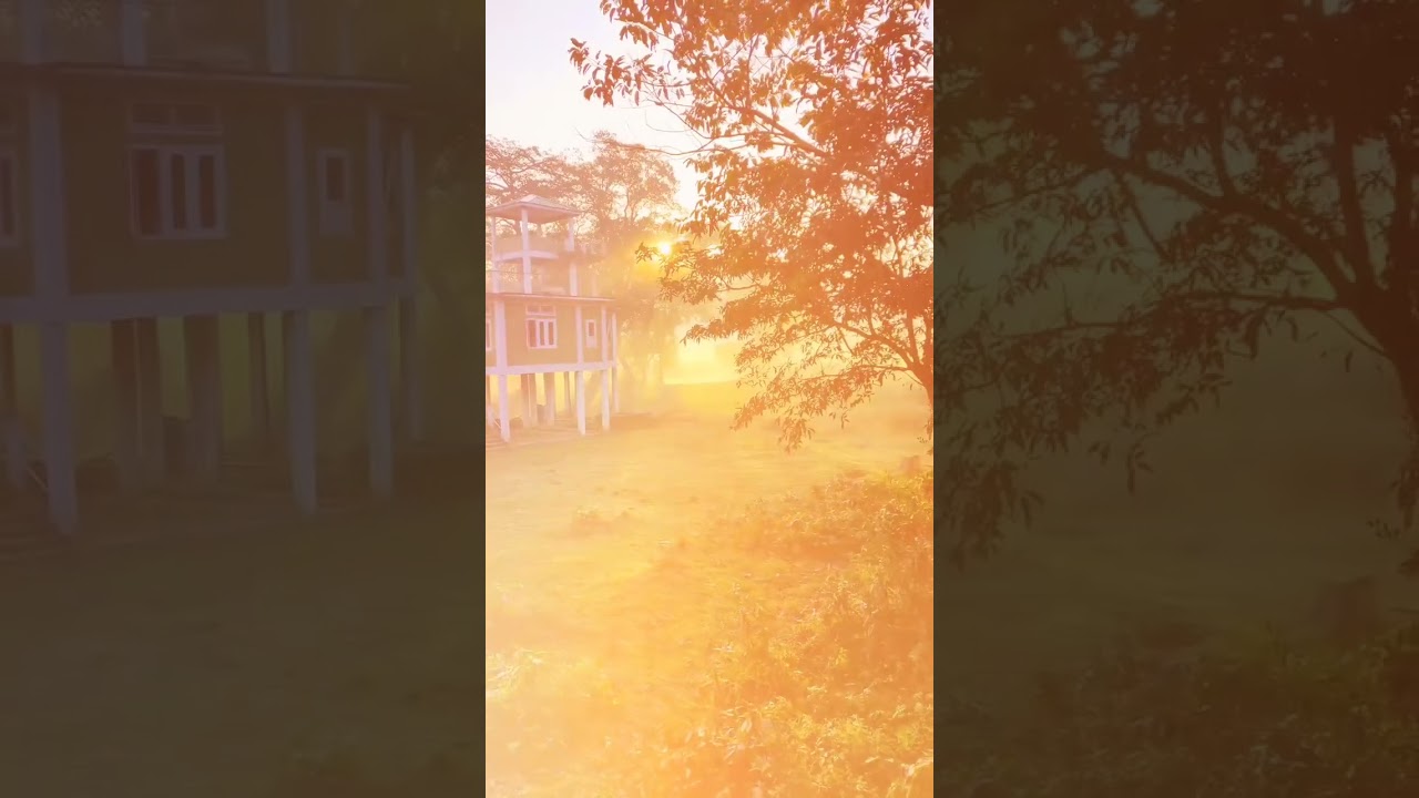 "Exploring Assam & Kaziranga National Park | Wildlife Adventure"