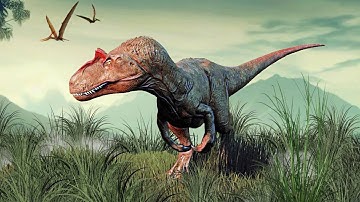 A Solo Allosaurus: The ROAD to ELDER