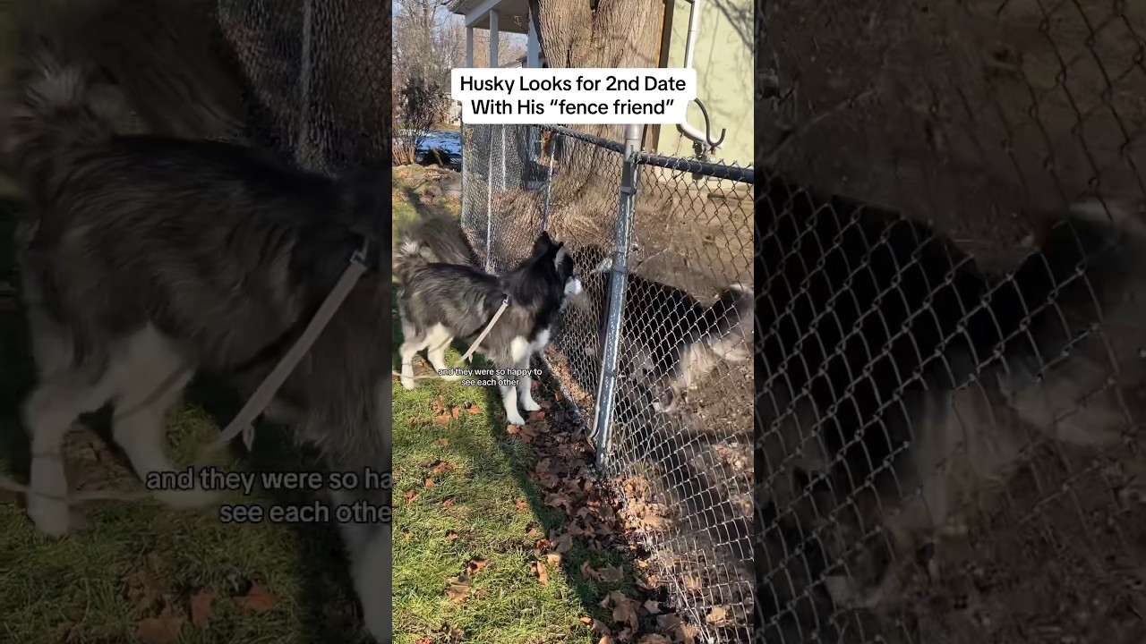 Levi & Ellie Update 🫶❤️ 