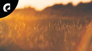 Martin Landström - My Golden Hour (Royalty Free Jazz)
