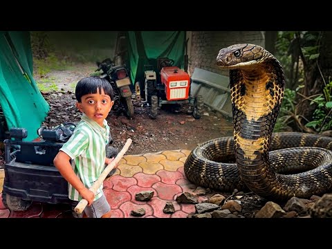 माऊलीच्या ट्रॅक्टर खाली kobra निघाल्याने पप्पांची धावपळ झाली 😳