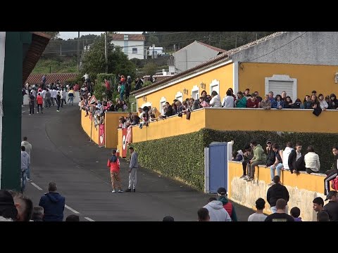 Tourada à corda, ilha Terceira, 2023