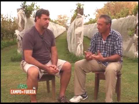 CDF PGR 31 Juan Pablo Richelmini - Finca Las Atípodas parte II camera iphone 8 plus apk