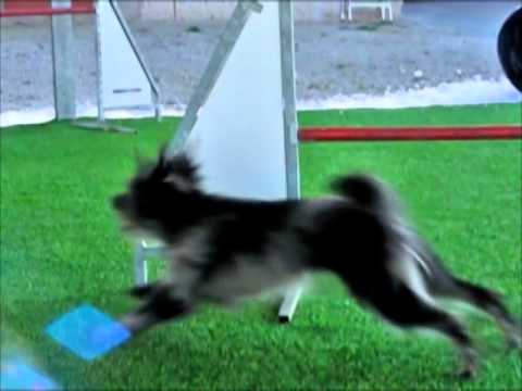 Agility in slow motion