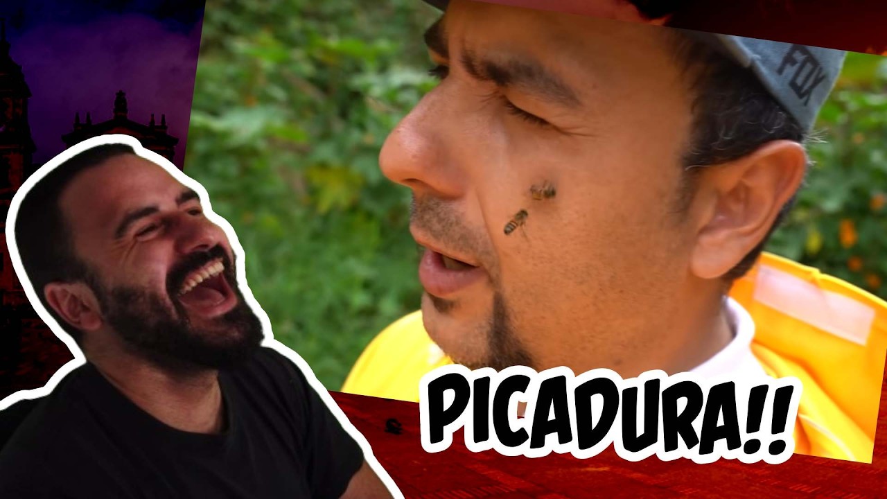 Reacción POR LA VENTANA con CHACHA - Personaje de las ABEJAS - Camilo Sánchez Emir Quintero