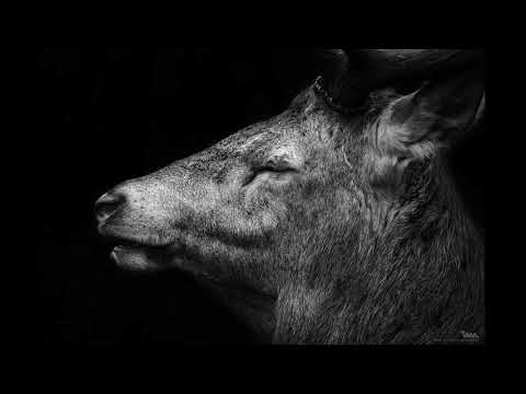 Berghain Sounds #5