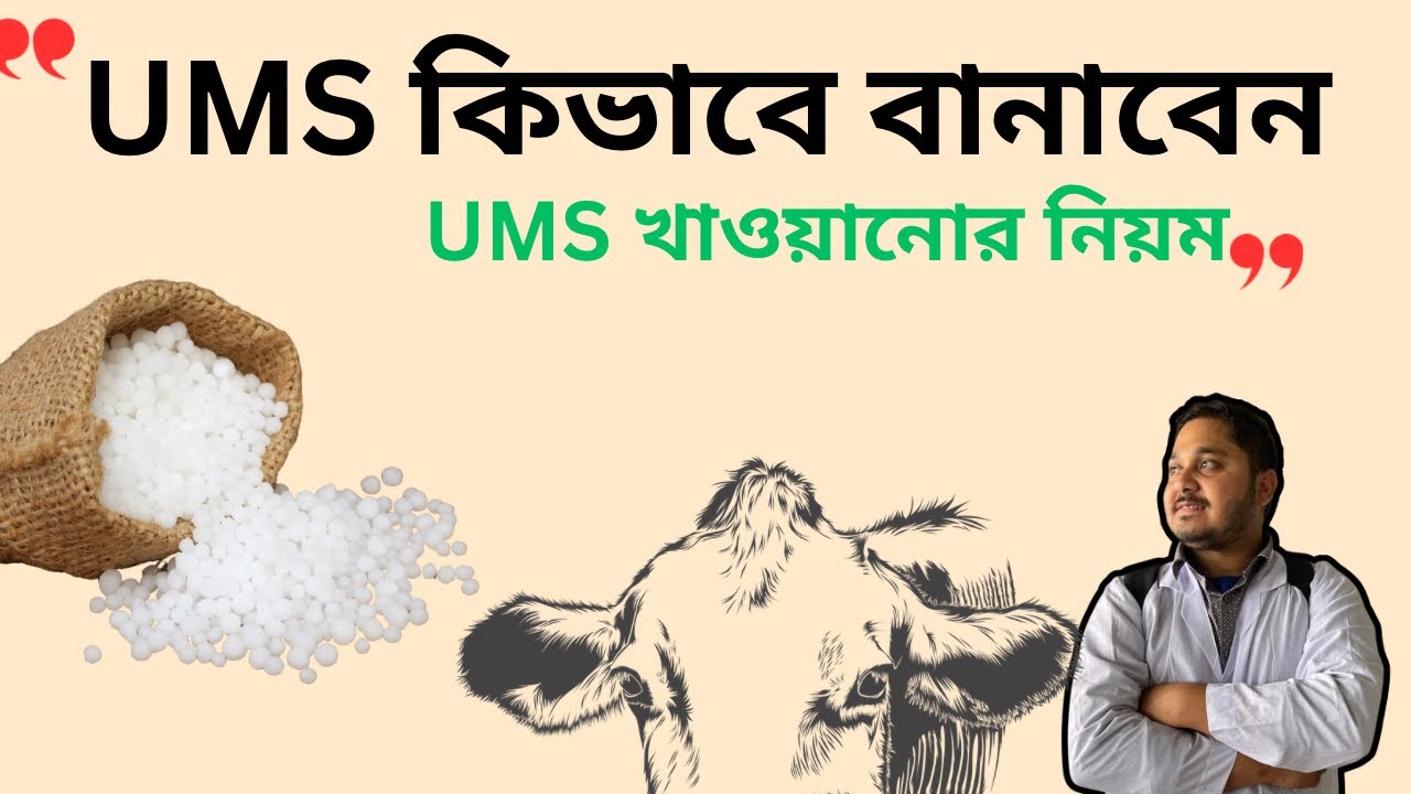 UMS বানানোর নিয়ম| UMS কিভাবে বানায়| ভিডিও-১০৬|