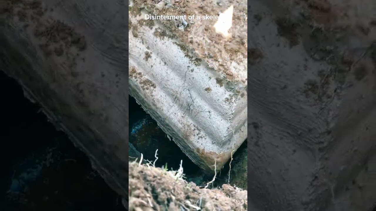 From Silk to Spices: Exploring Ancient China’s Trade Routes 