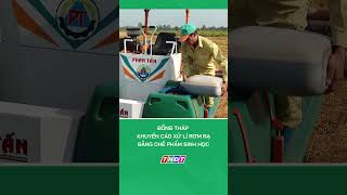 Đồng Tháp khuyến cáo xử lí rơm rạ bằng chế phẩm sinh học #nongnghiepmientay