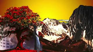 THE INNER COLLAPSE