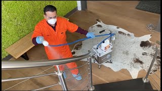disinfect 100+ touch points