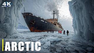 ARCTIC WILDERNESS | Secrets of the Deadliest & Most Majestic Creatures | Full Documentary 4K