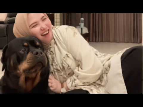 This 130lb Rottweiler REFUSES to Let Her Out of His Sight—She Finally Understood Why at 3AM