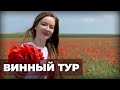 Винодельни Кубани. Готовый маршрут для винного тура | МинВин  #Вино #МинВин #винодельня