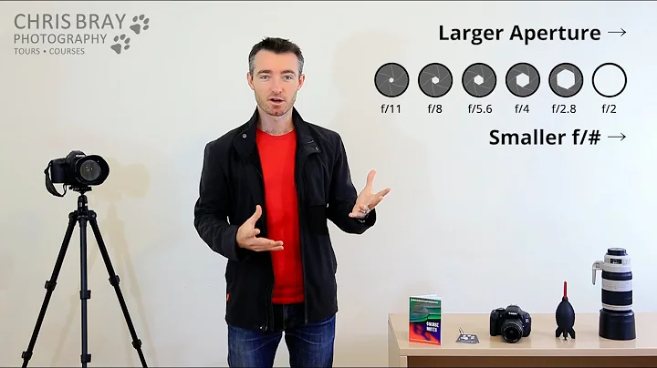 Aperture & Depth of Field made EASY - Photography ...