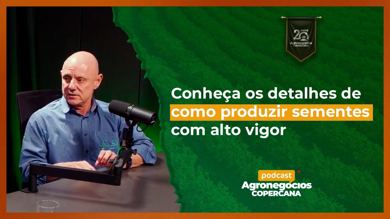 Conheça os detalhes de como produzir sementes com alto vigor