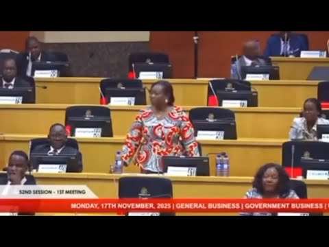 PARLIAMENT OF MALAWI EVENING SESSION 17 November 2025| LIVE TODAY ...