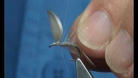 Tying a Blue Dun (Dry Fly) by Davie McPhail.