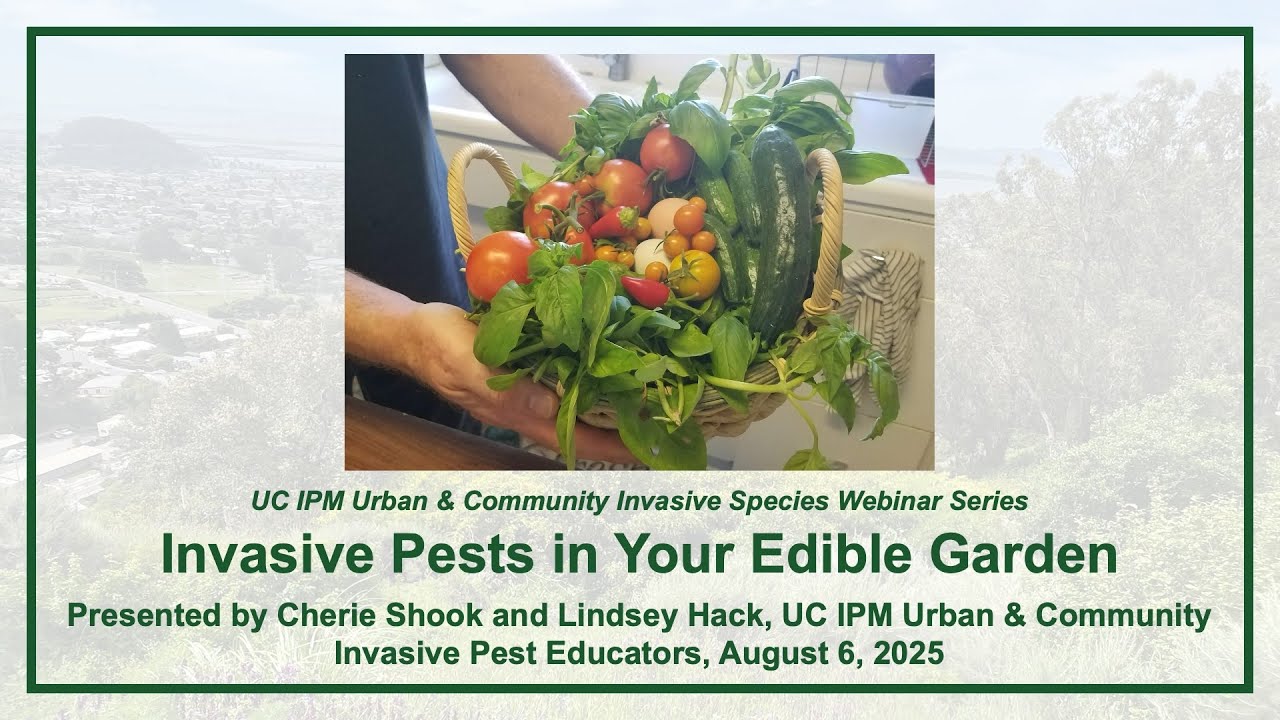Invasive Pests in Your Edible Garden