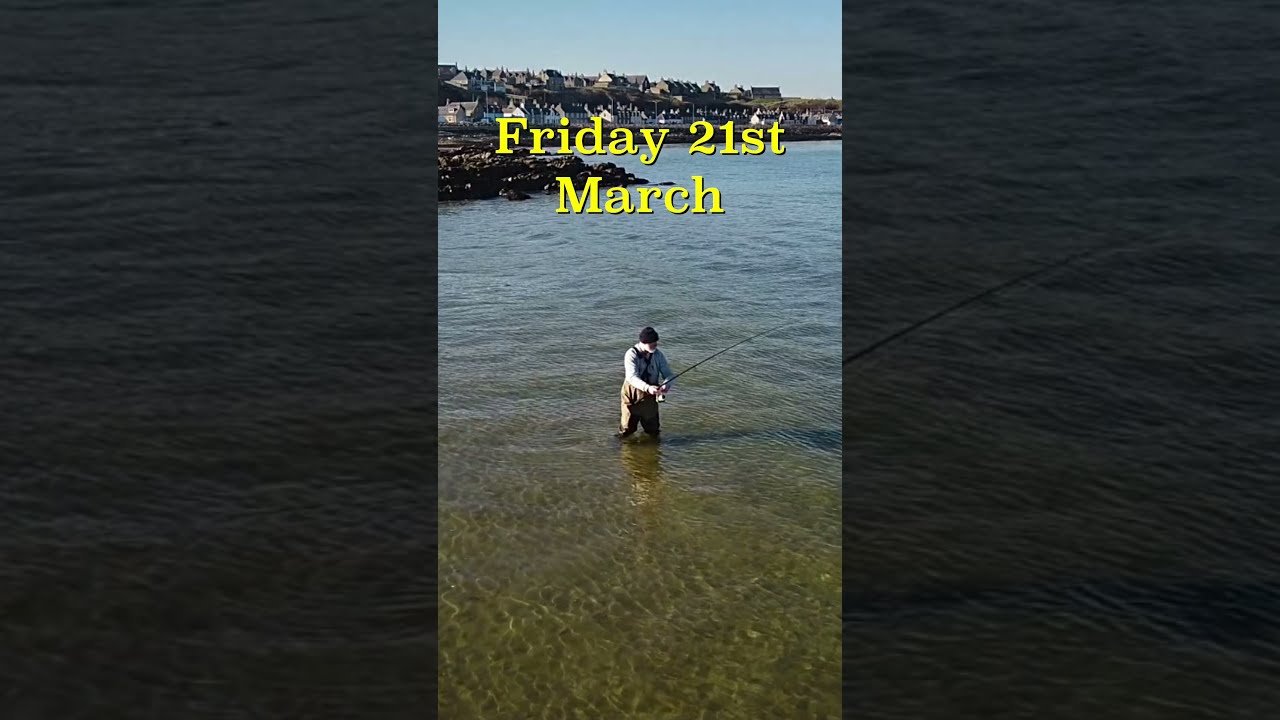 New fishing video: Tonight 4pm: on my channel FISHnTHINGS 🎣