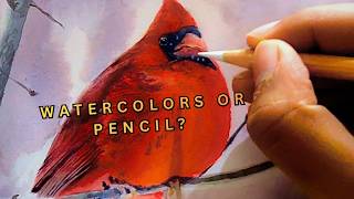 Just Watercolors? Painting A Realistic Cardinal