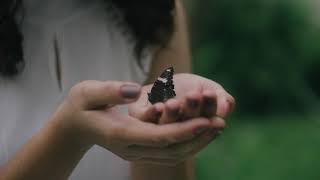 Go Peaceful in Gentleness (with lyrics)