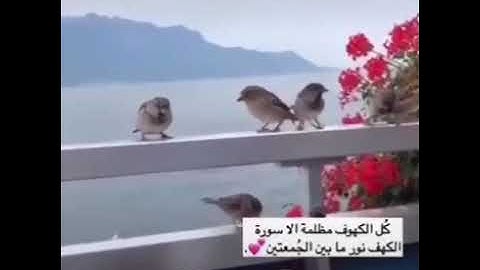 جمعة مباركة //حالات واتس//سورة الكهف //⬇⬇⬇وصف مهم⬇⬇⬇⬇⬇⬇