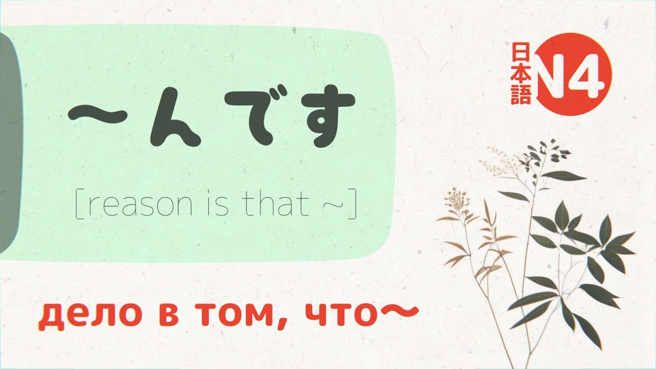 Грамматика ～んです (ndesu) 💬 [разбор и примеры] jlpt N5-N4