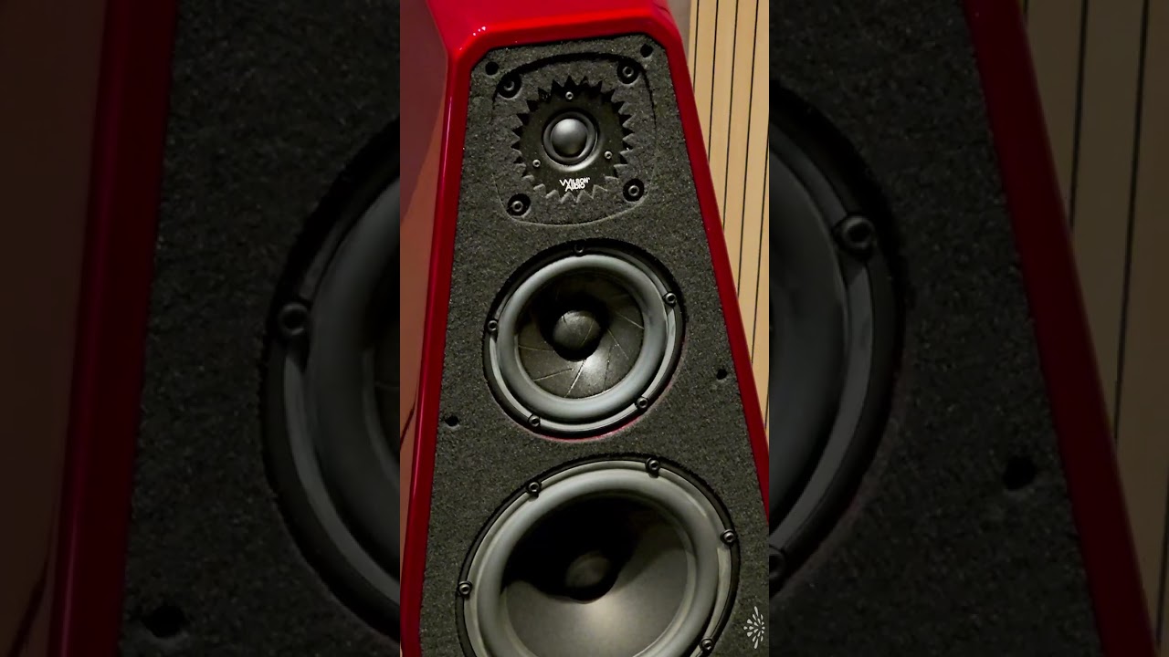 DA Weekly Select - Victim of Circumstance