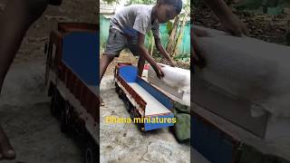 dhana miniatures