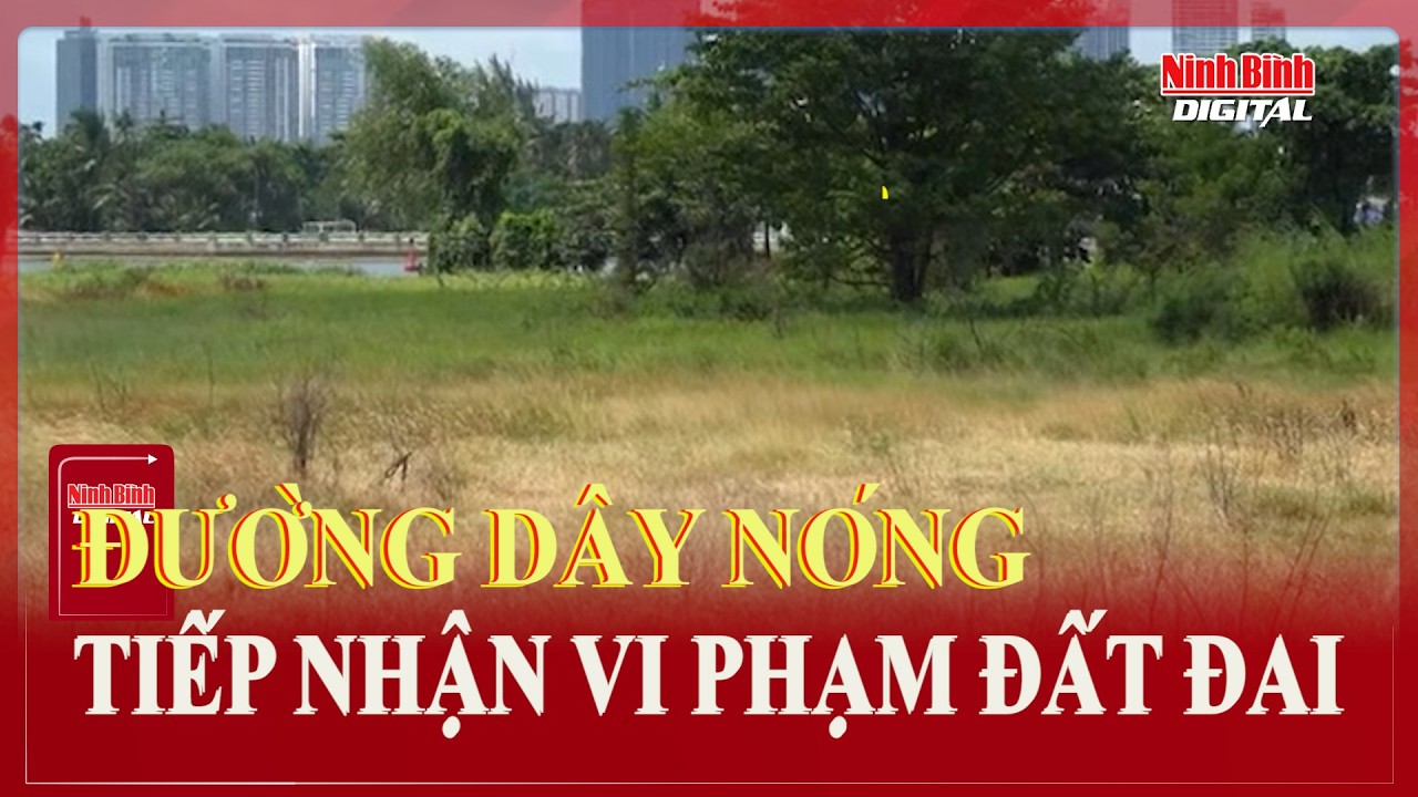 Đường dây nóng tiếp nhận vi phạm đất đai | Ninh Bình Digital