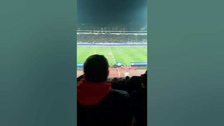 FK Crvena Zvezda-FC Stuttgart 5:1 27.11.2024#fkcrvenazvezda #stuttgart #championsleague #football