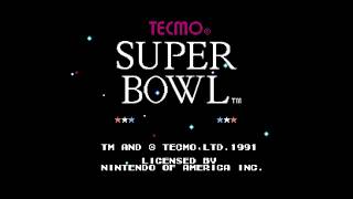 Tecmo Super Bowl Full Season NES Playthrough (Over 7 Hours of Gameplay)