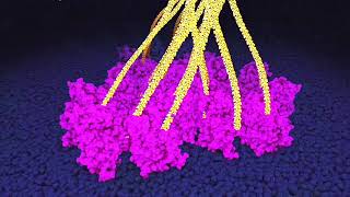 Cellulose synthesis by plant cells. Powers of ten zoom. screenshot 3