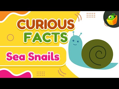 Sleepy Head | Garden Snails | Clever Creatures: Fun Activities for Growing Minds | Learning Video
