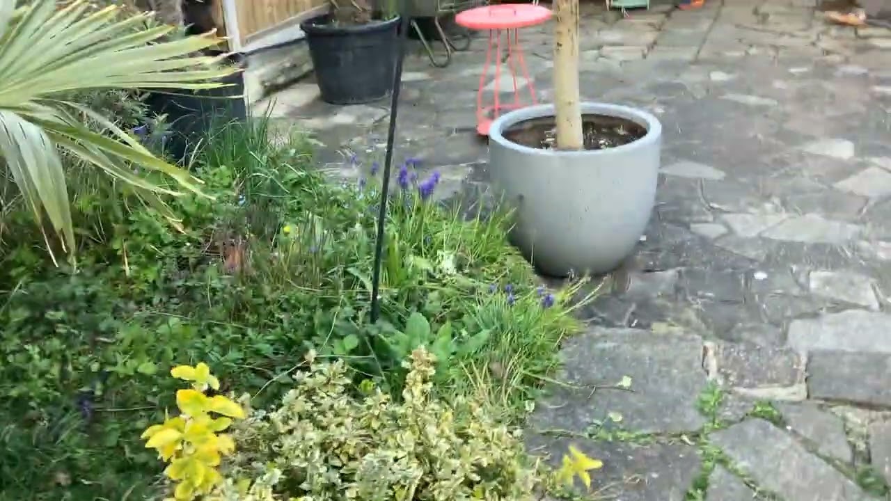 FIFA World Cup Final empty Penalty Shootout