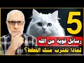 لماذا تقترب منك القطط فجأة 5 رسائل قوية من الله الخامسة ستدهشك 
