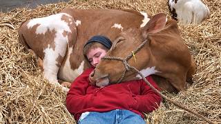When Animals Are TOO Obsessed With Dad to Leave Him Alone! ❤️