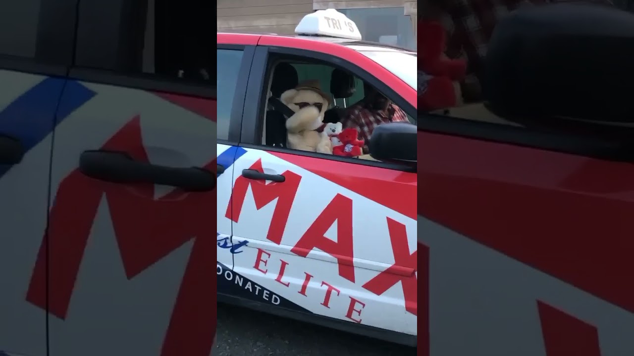 IN MEMORY OF MARK COPELAND IV: Teddy Bear Taxi