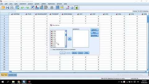 Tính Trung Bình, Min, Max, Độ Lệch Chuẩn Trong SPSS Cực Nhanh || Phan Nguyện ||