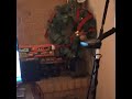 Merry Here's Johnny!!! Christmas '25