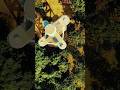 পাখির চোখে আলতা দিঘির Watch Tower 🕊️ #AerialShot #NatureDrone #ScenicView