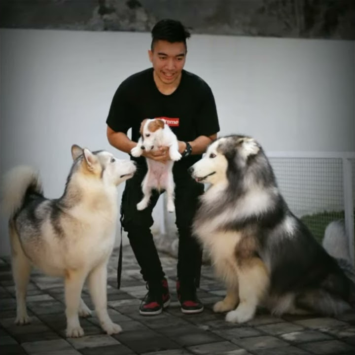 story wa 30 detik spiker & nala