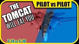 Tomcat F-14 gets a Viper | DCS World Best Air to Air Replays